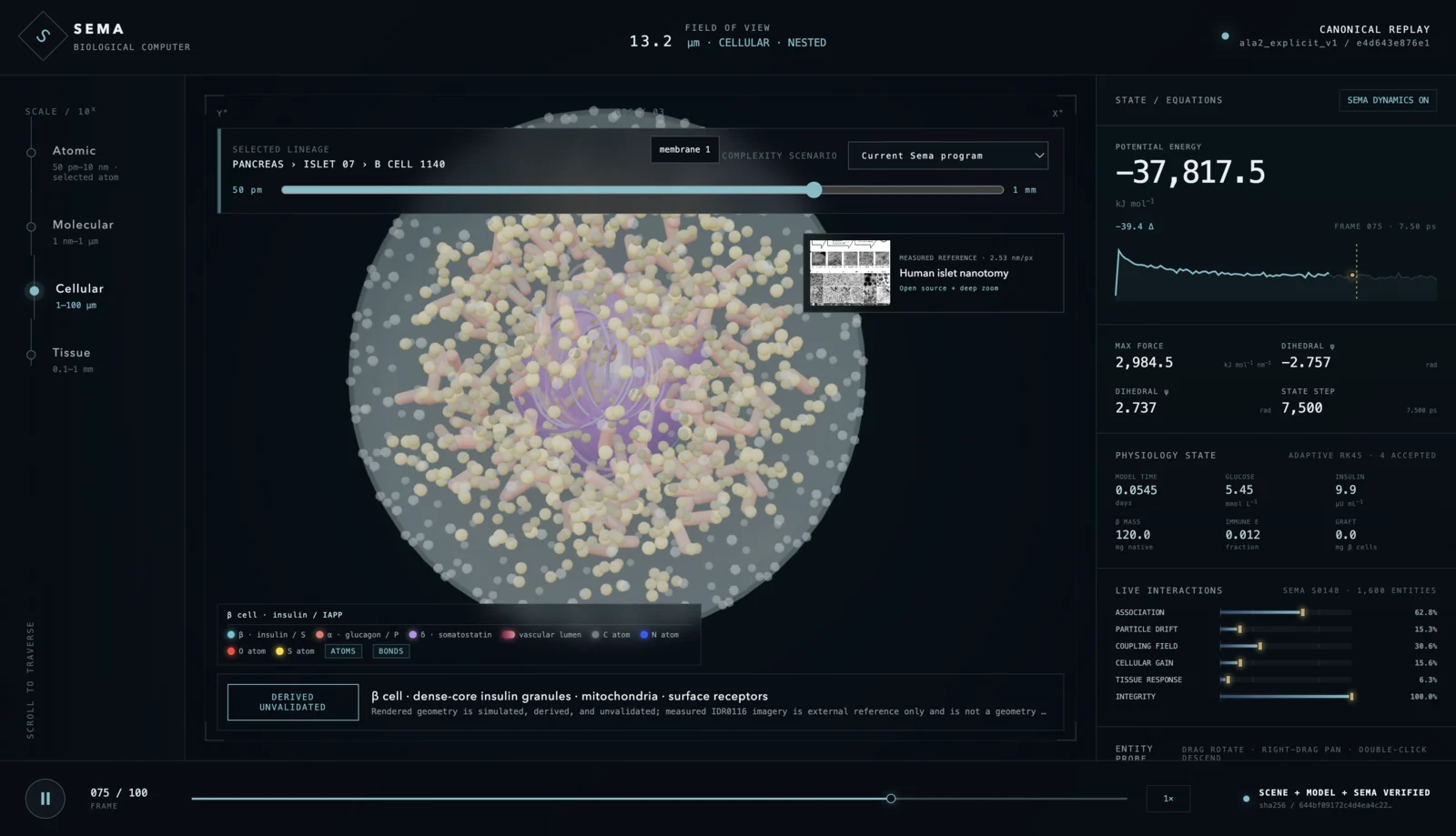 Sema cellular-scale derived and unvalidated prototype view
