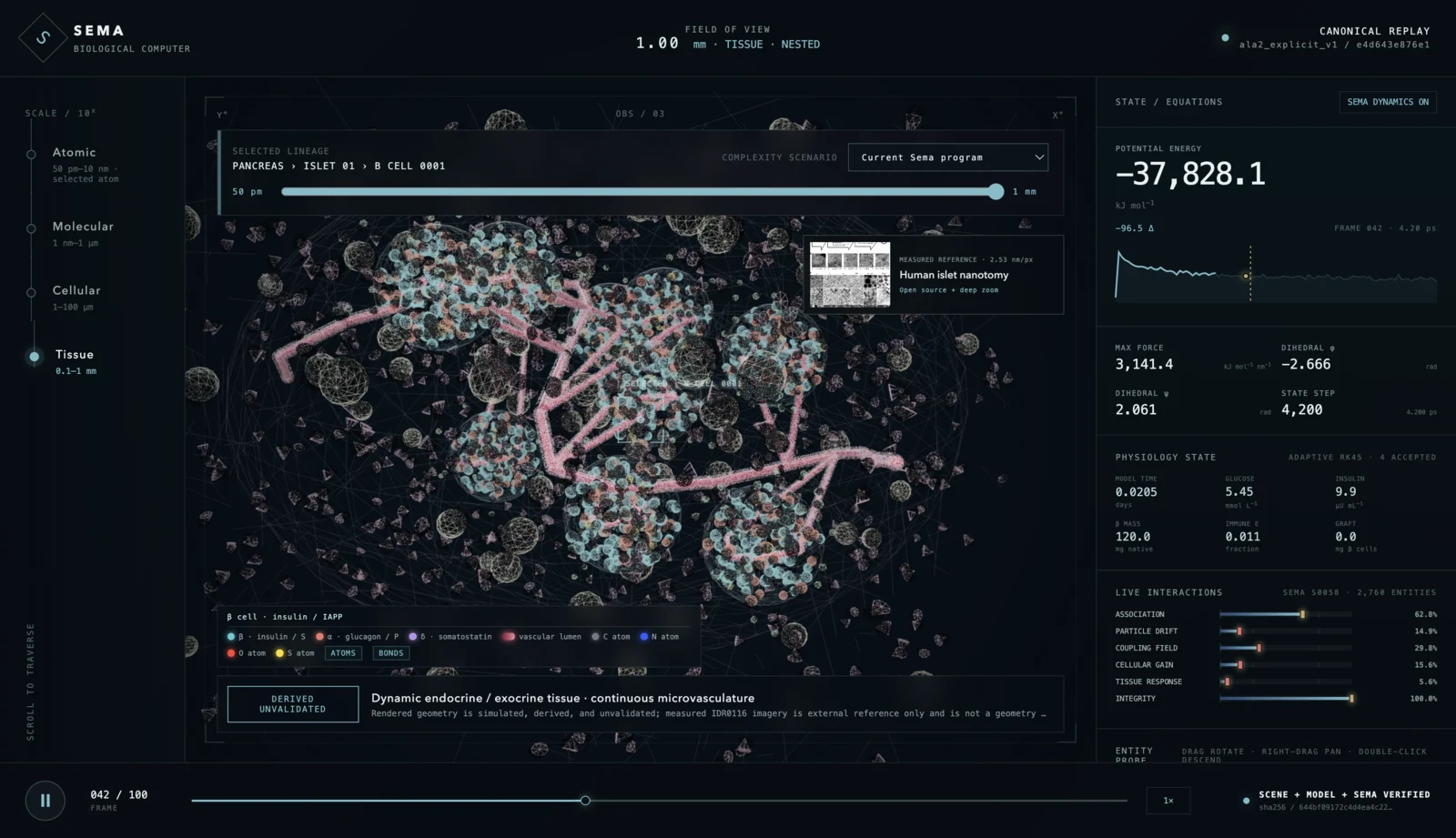 Sema tissue-scale derived and unvalidated prototype view